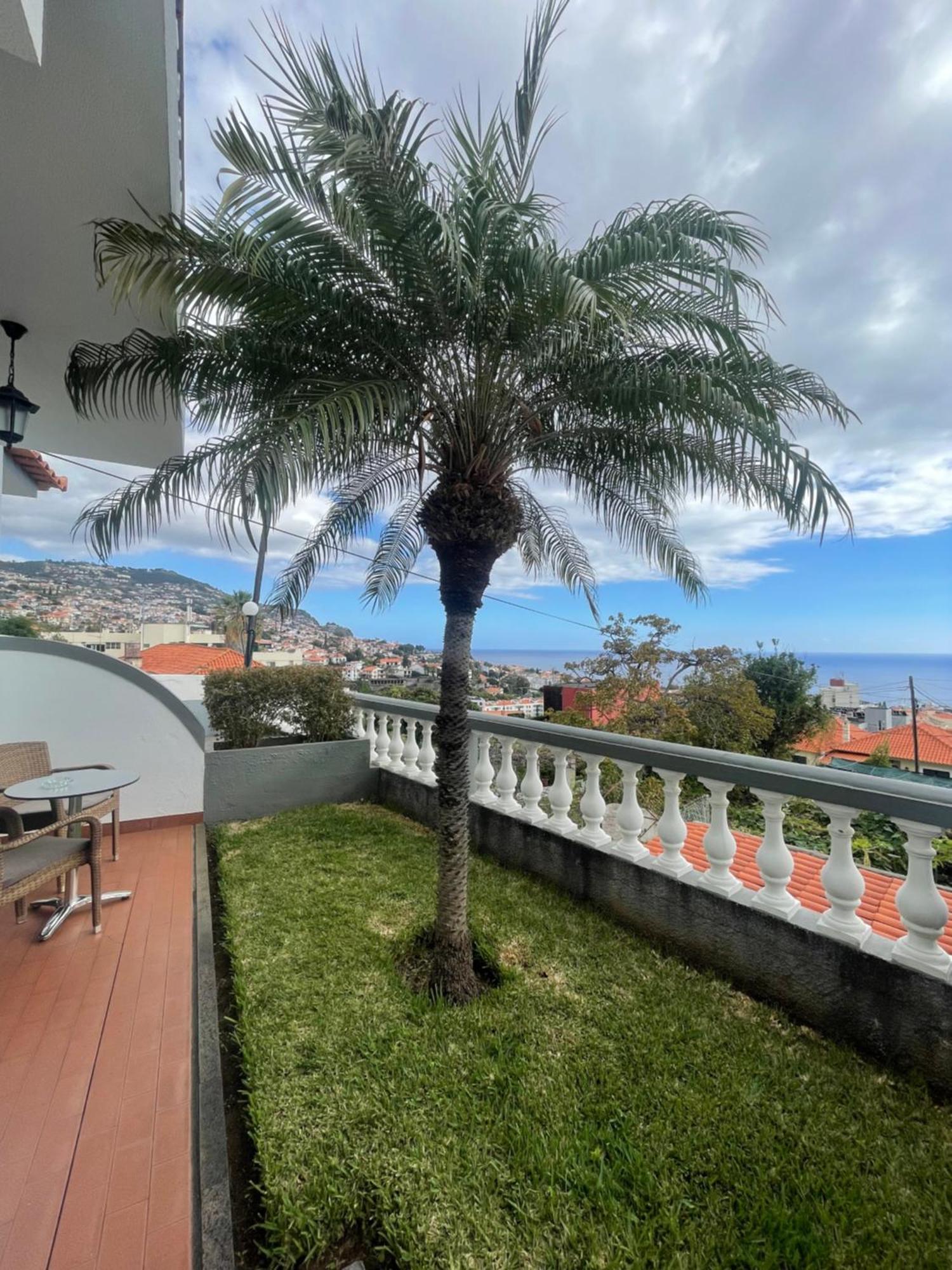 Valhalla Panorama - The Old Residencial Pina Funchal  Rom bilde